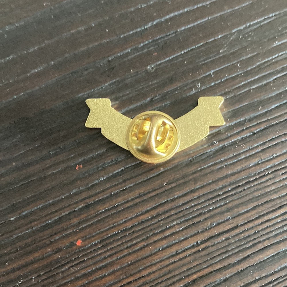 Ravenclaw Pin Set - Picture 4 of 5